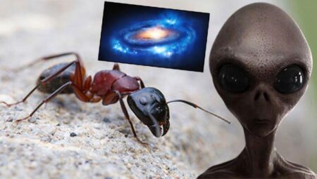 Bilim insanlarından şaşırtan ‘uzaylı’ tespiti! Bizi karınca üzere mi görüyorlar?